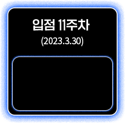 입점 11주차